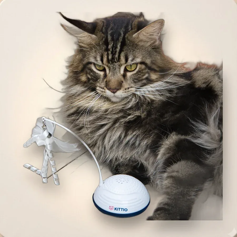 Juguete gato KITTIO movimiento